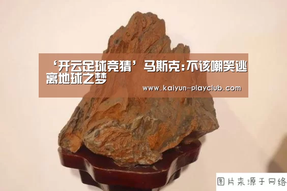 ‘开云足球竞猜’马斯克:不该嘲笑逃离地球之梦(图4) 开云电竞赛事