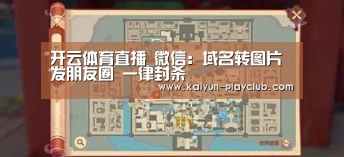 开云体育直播